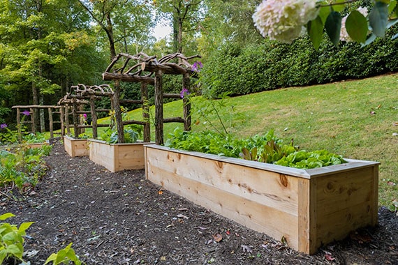 Edible Landscape Garden Beds